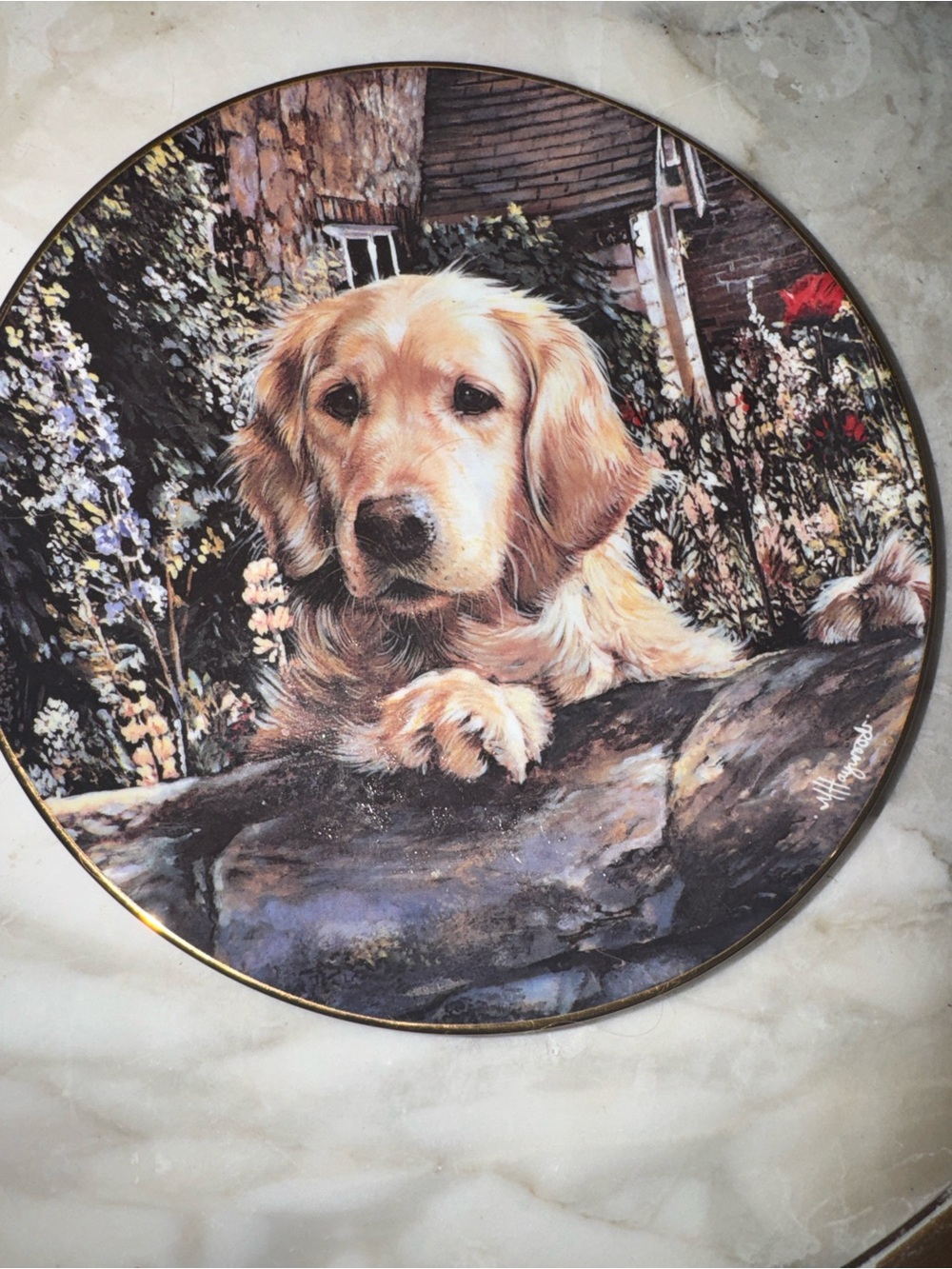 Danbury Mint Plate Golden Companions Backstamp - White with Black Lettering